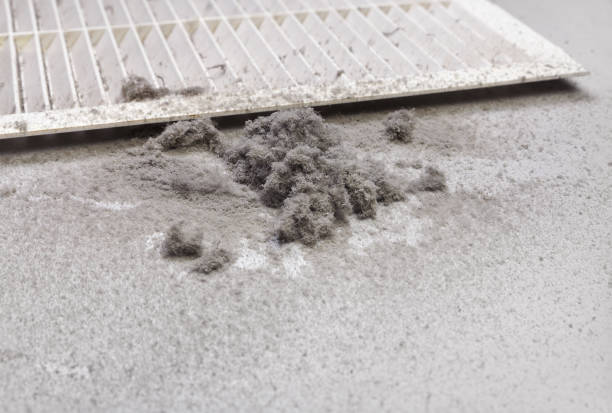 Best Residential Air Duct Cleaning  in Woodworth, LA